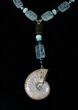 Stunning Fossil Ammonite Necklace With Tourmaline #15790-2